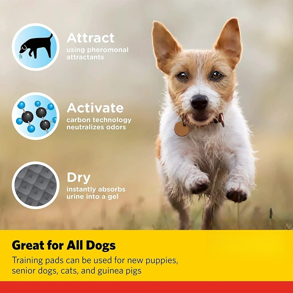 Charcoal Leak-Resistant Training Pads for Dogs, 23in x 23in, 100 Count