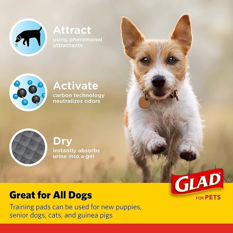 Activated Charcoal Dog Pads 100ct Leak-Proof Odor Control Training Pads New