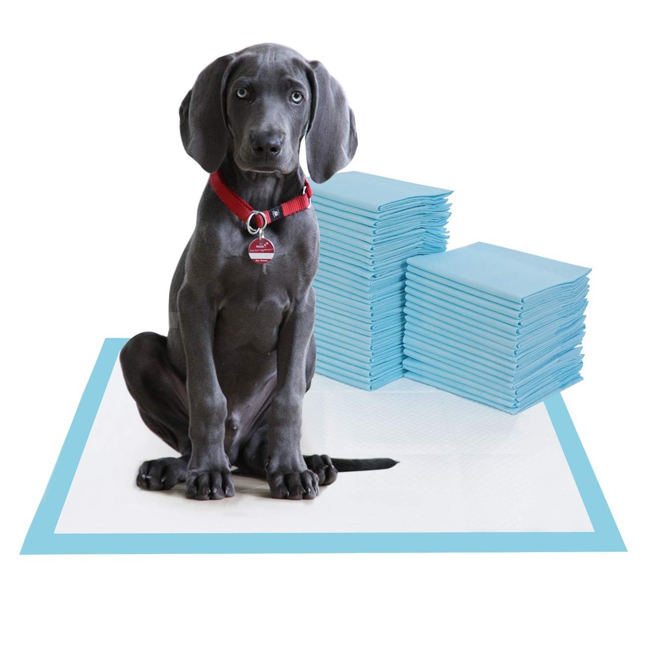 XL 30×30″ Price-Rite Economy Grade Dog Puppy Piddle Pee Pads 38 Grams