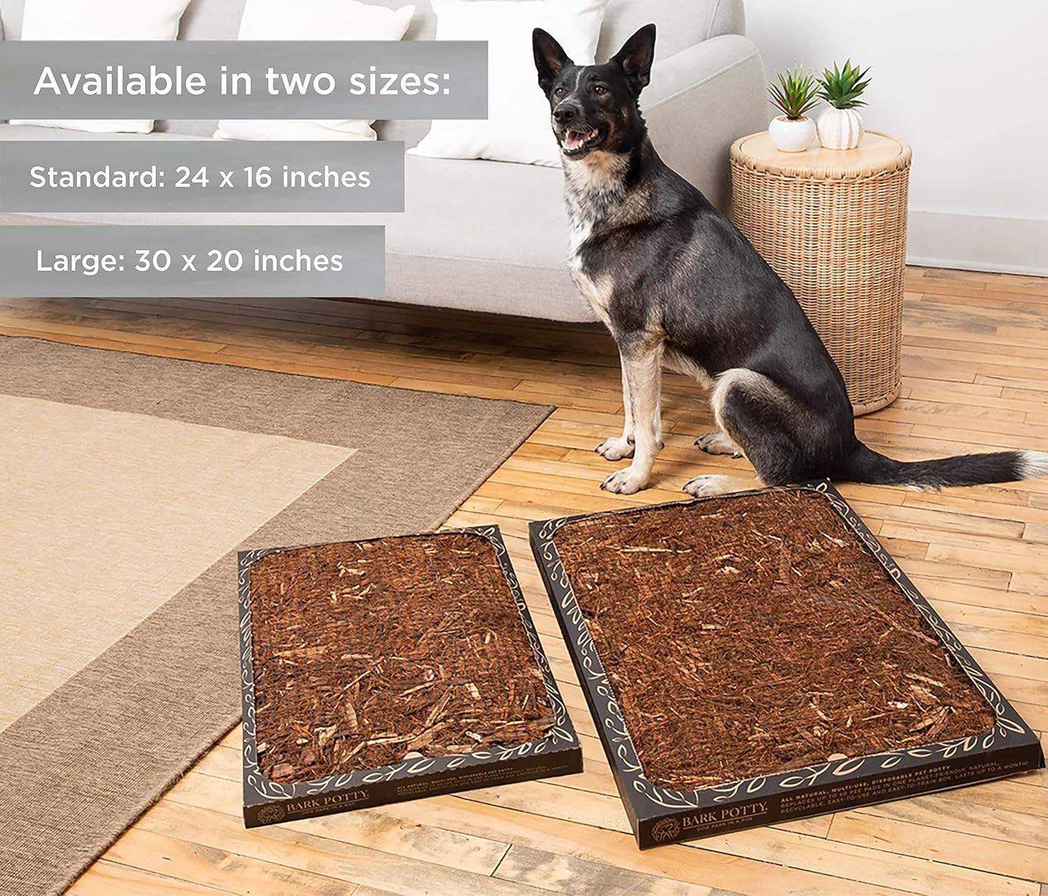 Large Dog Potty Training Box – Disposable, Long-Lasting Pee Pad Litter Replaceme