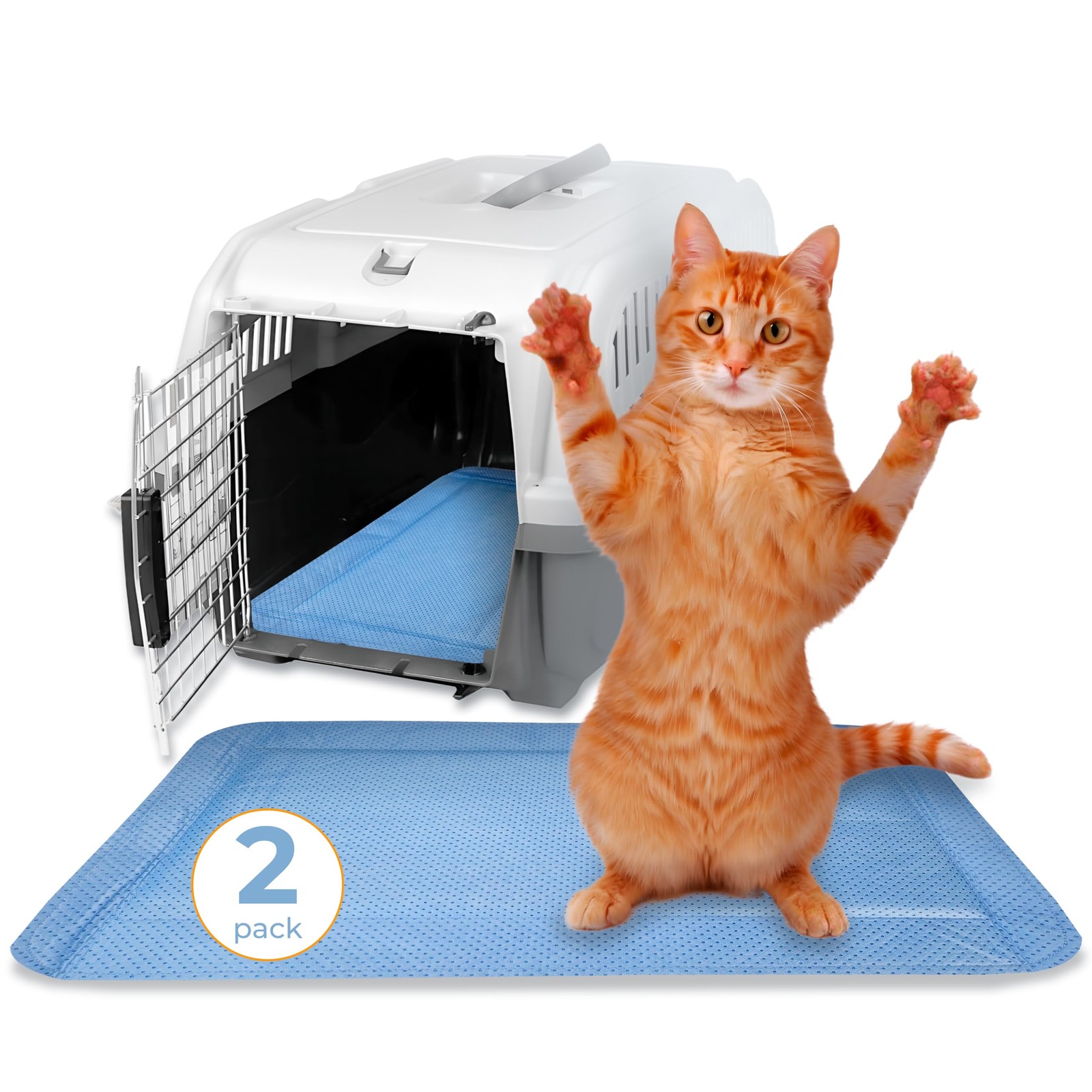 Skywin Pet Carrier Pads, 2 Pack Cat Pad Insert 19.5″ x 2 Pack, Blue