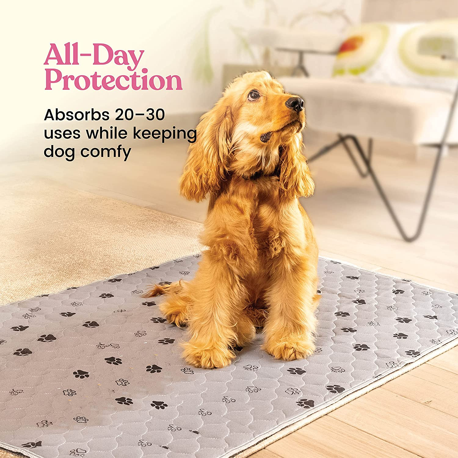 Super Absorbent Washable Pee Pads for Dogs – 2-Pack Superior Reusable Puppy Pads