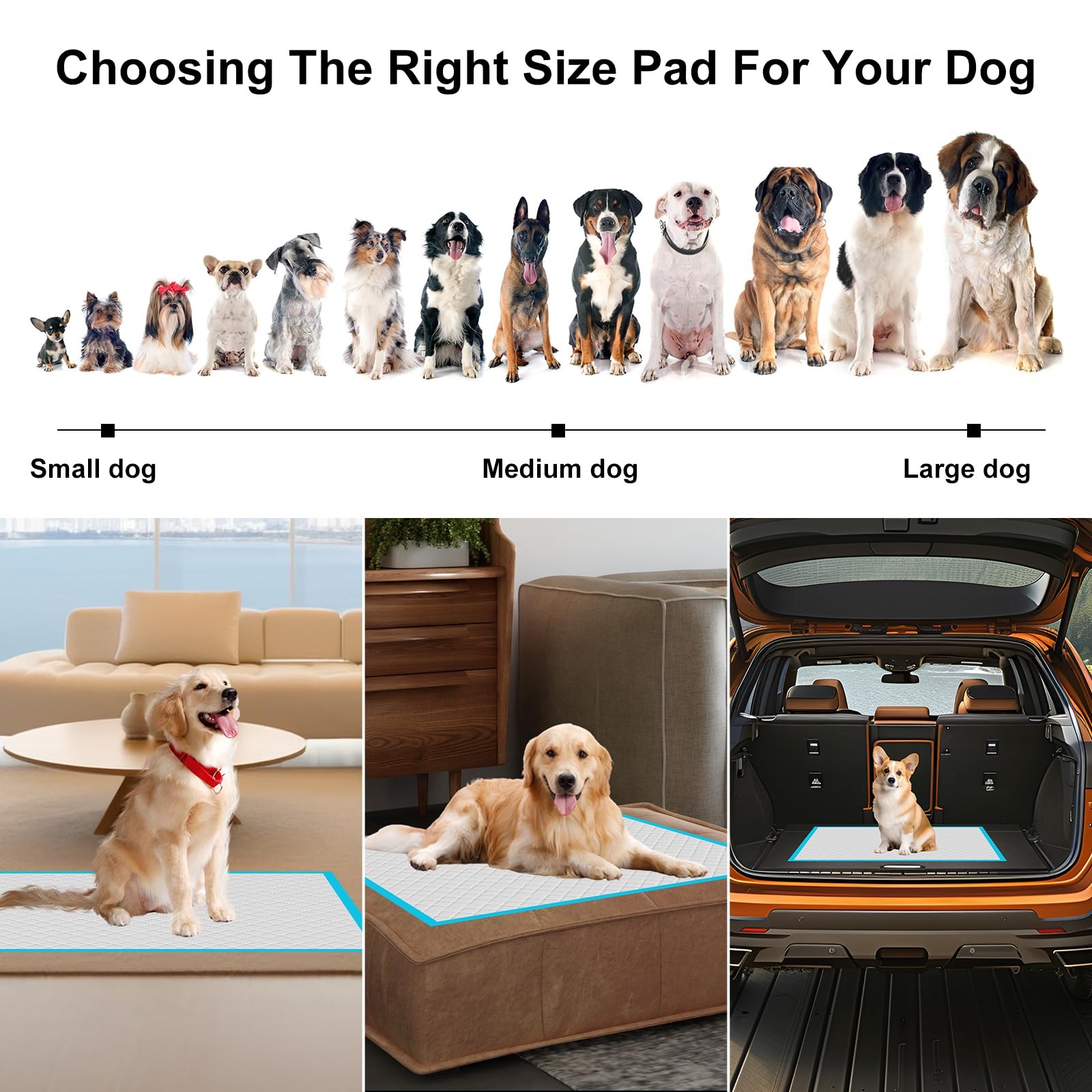 Puppy Pee Pads, Ultra Absorbent 6-Layer Training Pad for Dogs, Cats, Rabbits,…