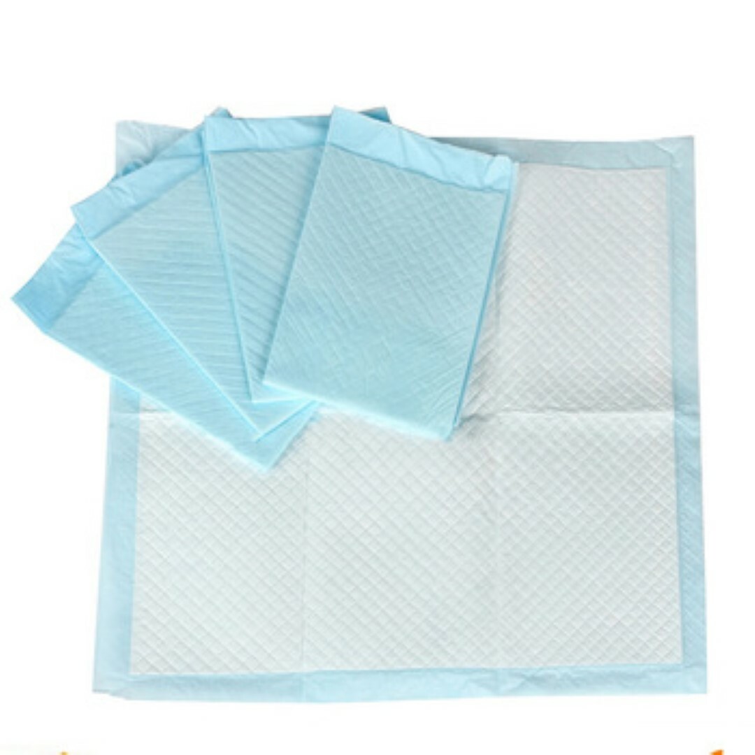300ct 23×36 Atta Boyz Econo Quilt Xtra Absorb Puppy Training Piddle Pads 4ply