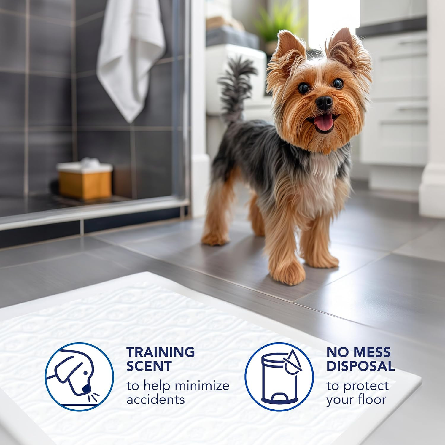 Scott Pet Guard Dog Pads – Size Large – 22″ X 22″ – 100 Pack