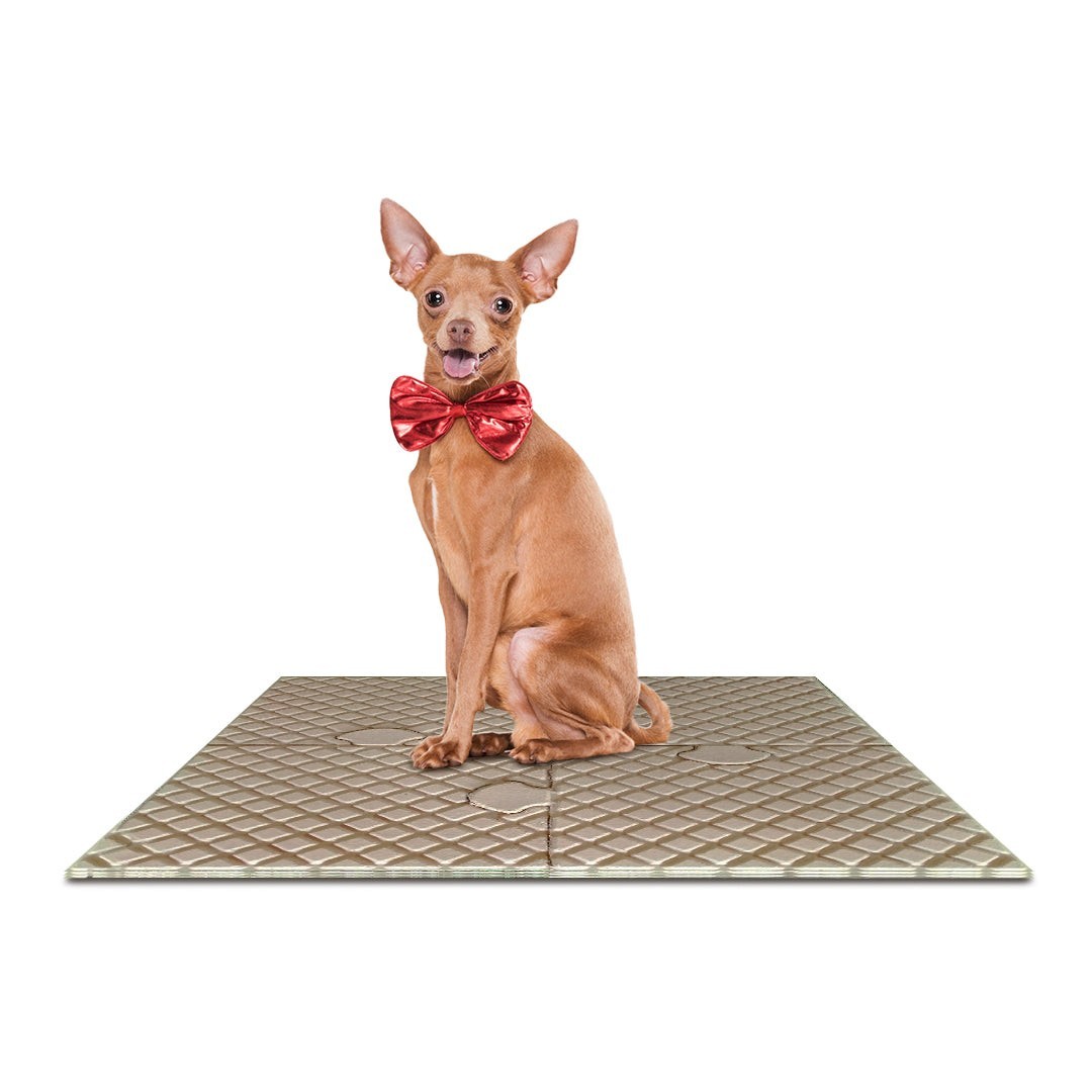 Play Mat Set for Dogs- Puppies 4 Interlocking Floor Mats
