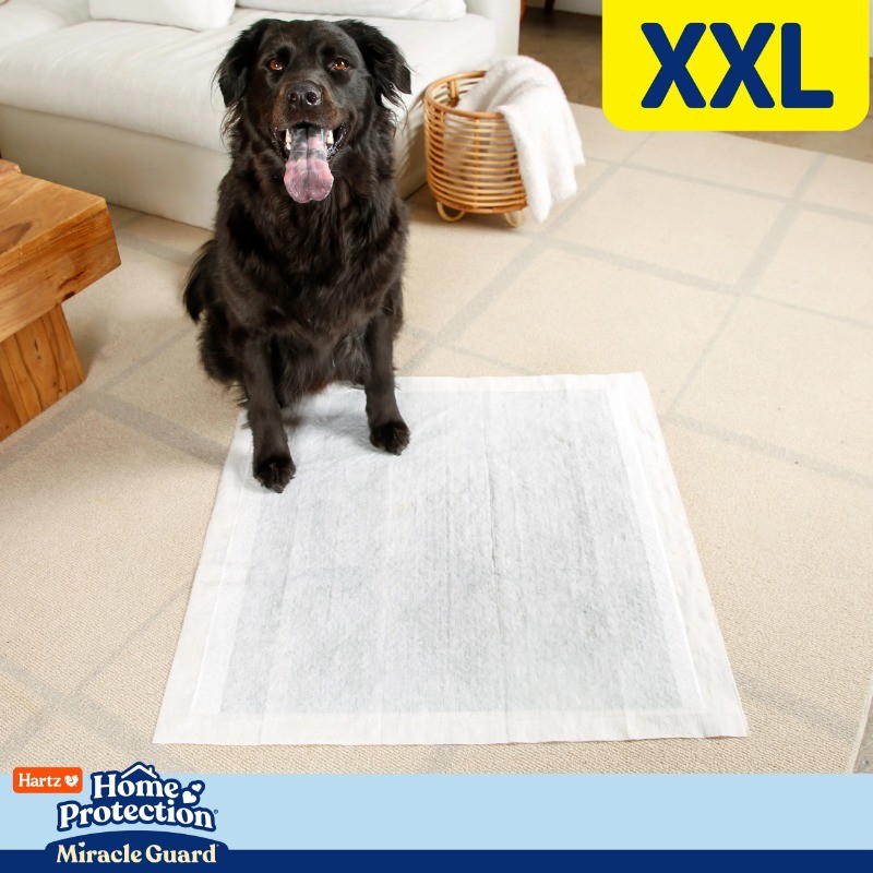Hartz Home Protection Miracle Guard Dog Pads, XXL 20 Count