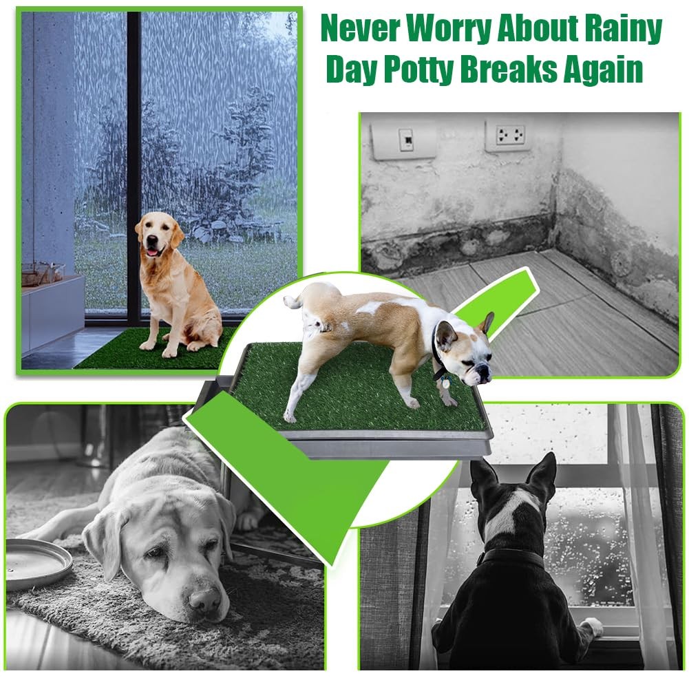 Reusable Training Pad Potty 2Pack Replaceable Artificial Grass Dog Patio