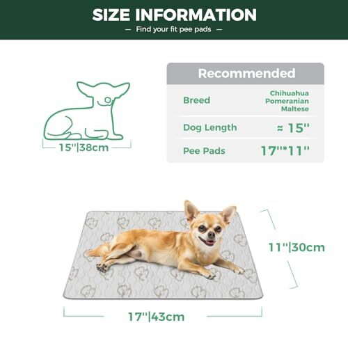 Washable Pee Pads for Dogs, Puppy Pads with Super Absorbent Rectangle, 1 Pack