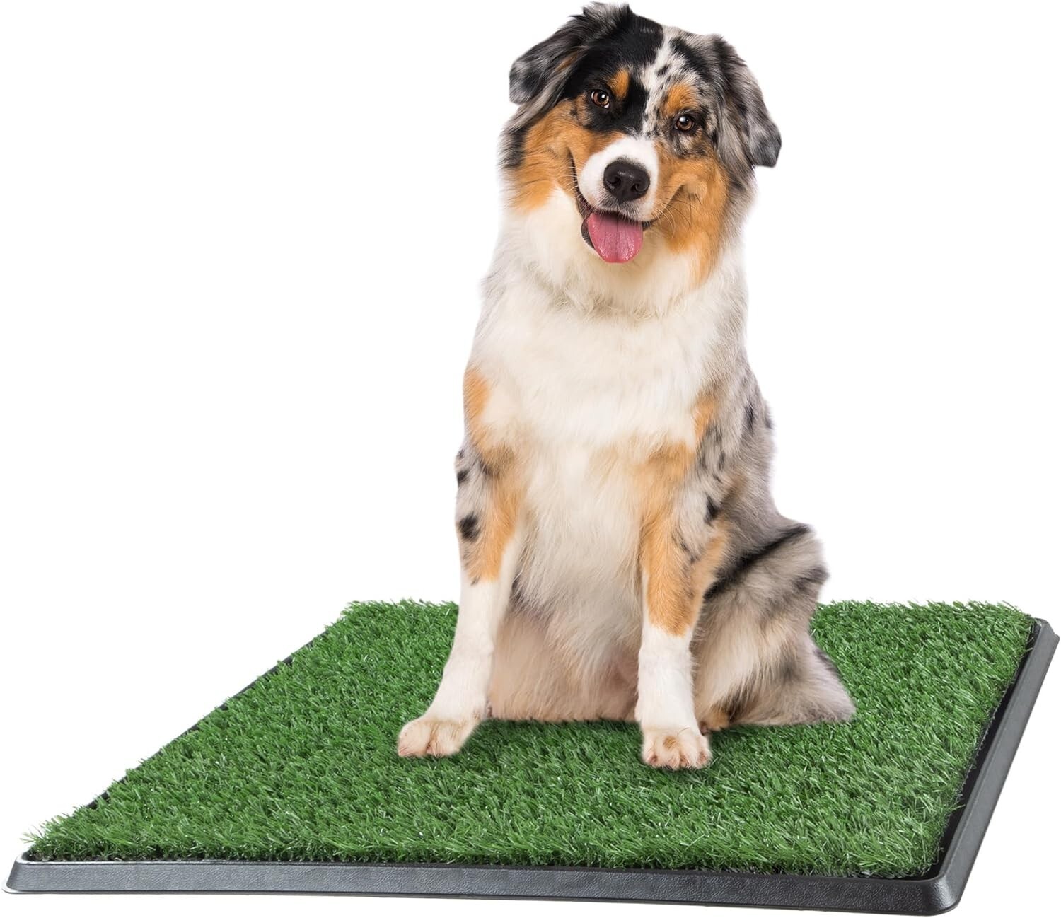 Artificial Grass Puppy Pee Pad for Dogs and Small Pets – 20×25 Reusable 3-Lay…