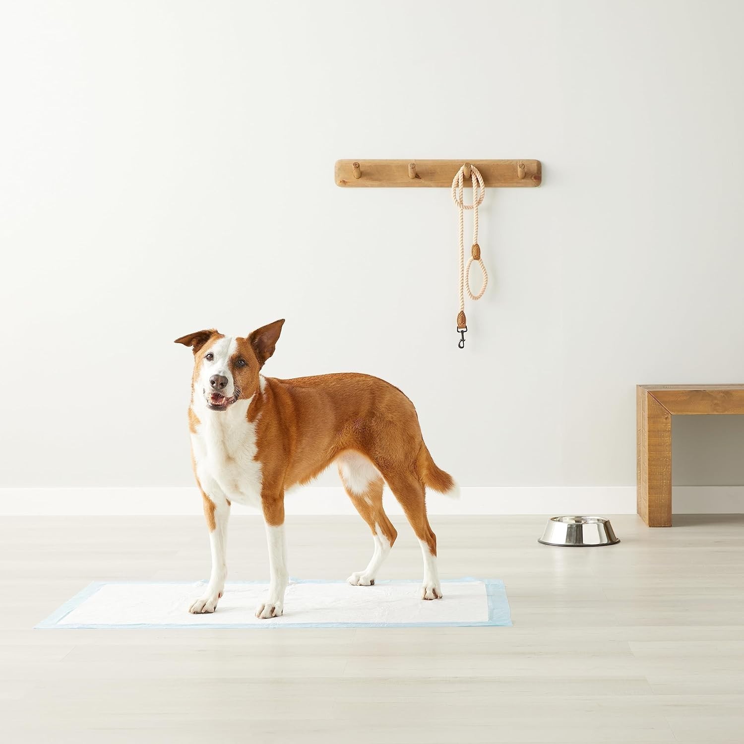 Super Absorbent Heavy Duty Puppy Pee Pads – Leak-Proof, Quick-Dry, 30-Pack