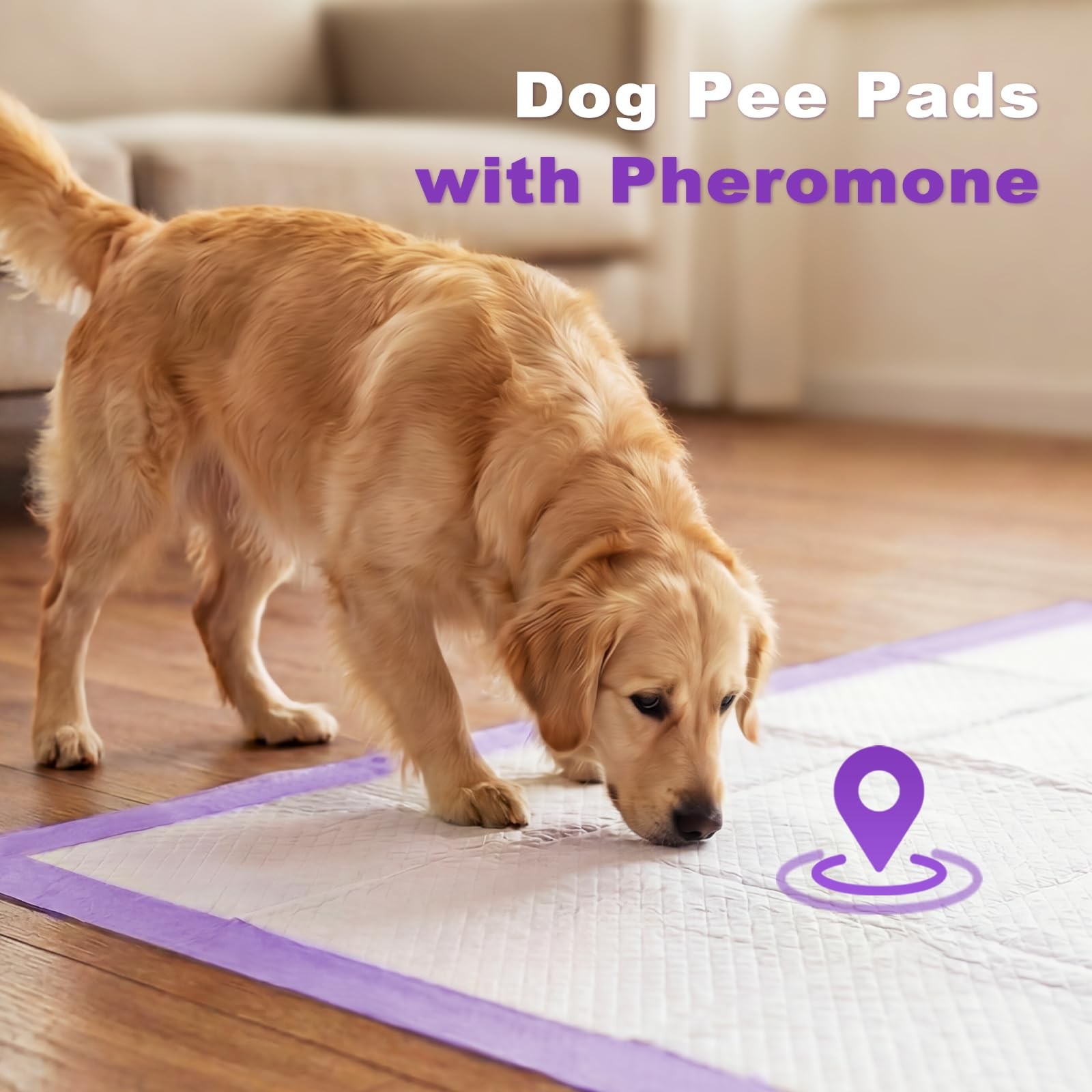 Dog Pee Pads Wee Wee Pads Lavender Odor Control XXL 36x36in 30Ct