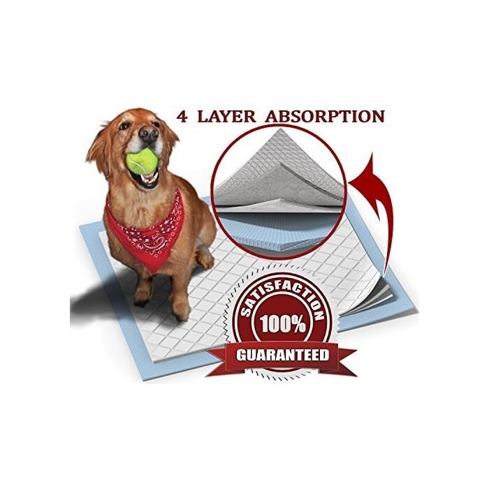 Dog Training Pads Extra Large (XL) 30-Pack by Parachute Pet Products