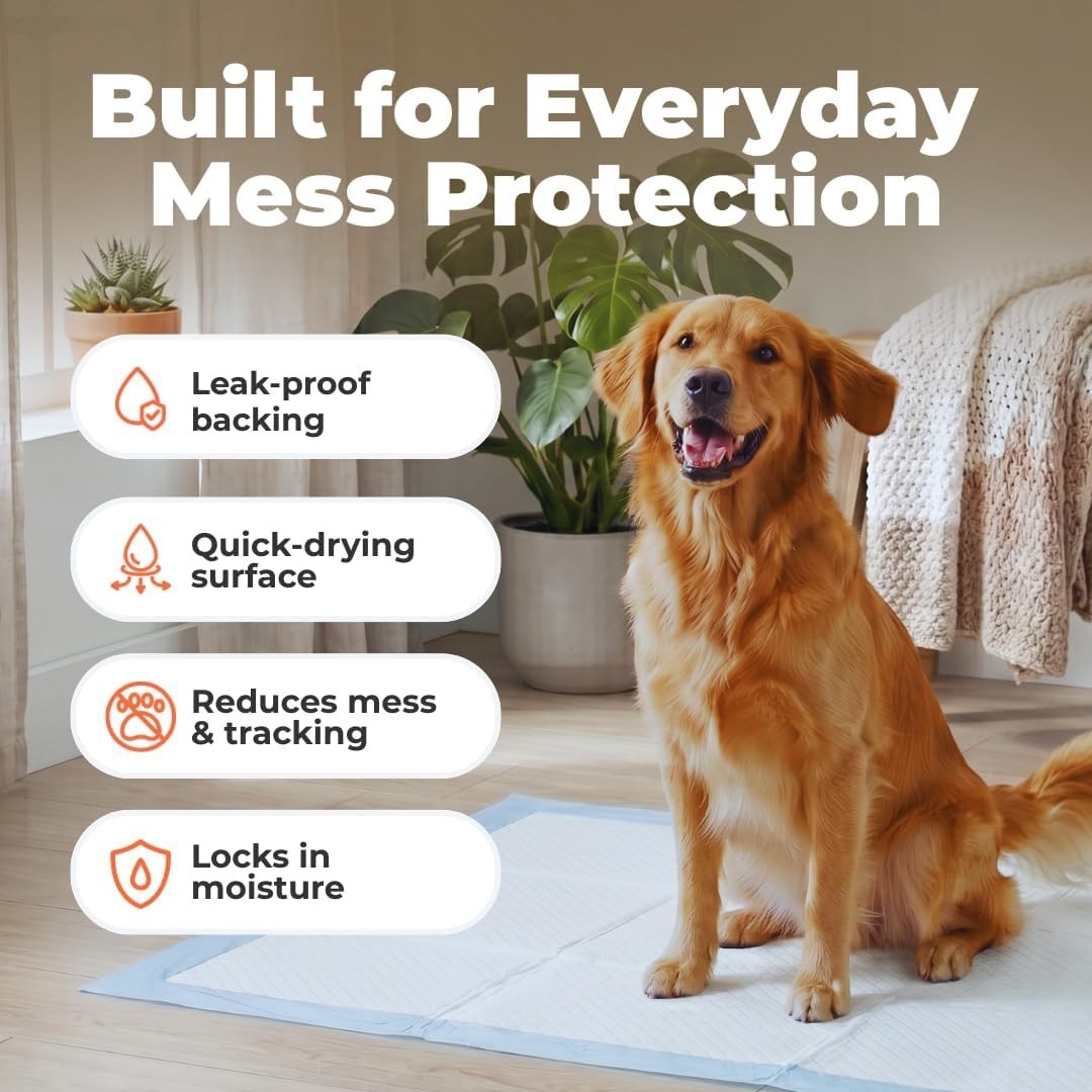 Extra Large Dog Training Puppy Pee Pads – Blue, 40 Count | 36×28″ Potty Pads,…