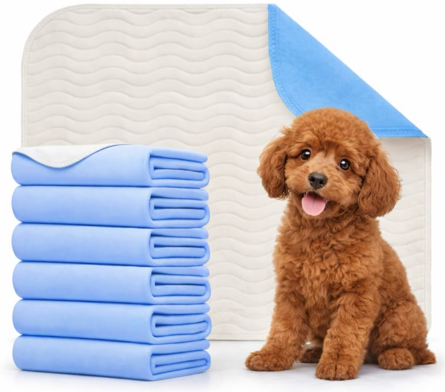Green Lifestyle Reusable washable Dog Pee Pads, 34 x 36-in, 6 count