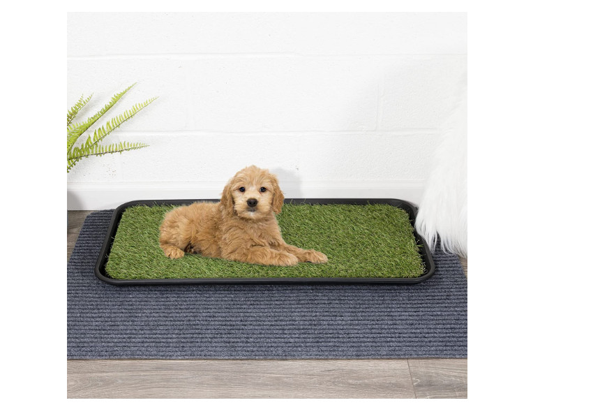 Indoor Puppy Pet Potty Training Pee Cat Toilet Pad Dog Grass Mat Dogs Turf Green