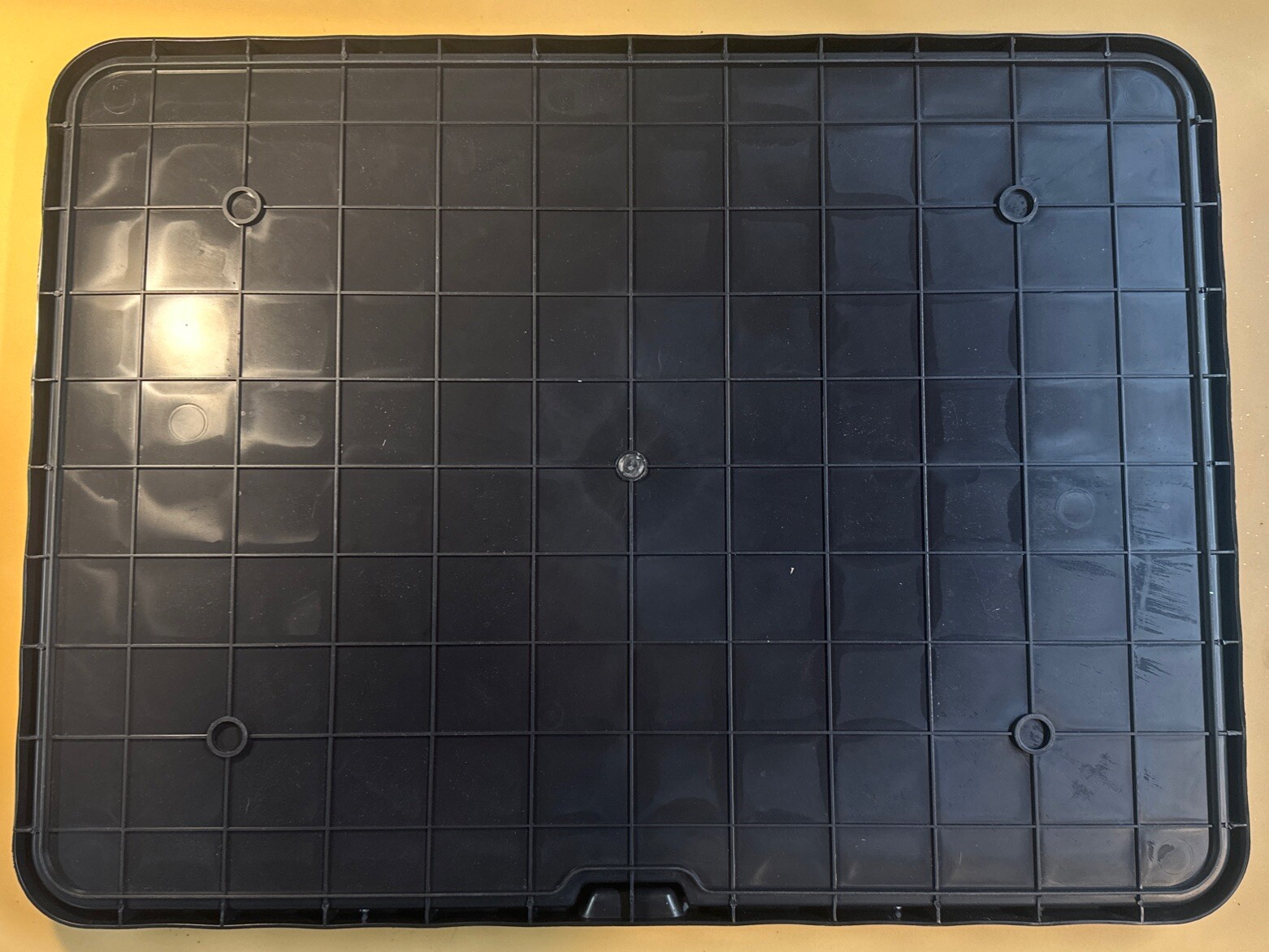 Dog Grass Pad 18×24