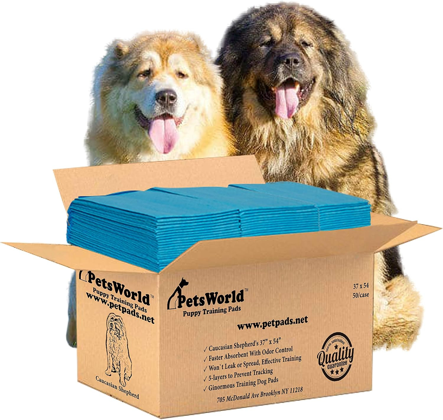 Enormous Dog Pee Pads 37″X54″ 50 Count – XXXL Pet Pee Pads for Giant Dogs & Pets