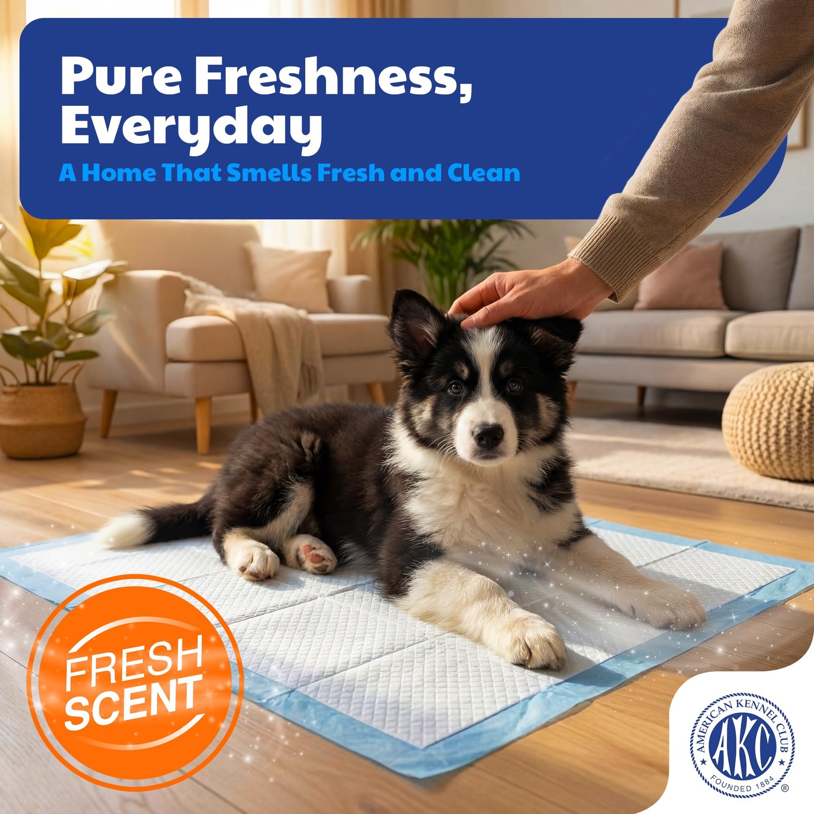 Puppy Training Pads 22 x 22 – Ultra Absorbent Quick-Dry Gel – 6-Layer Protection