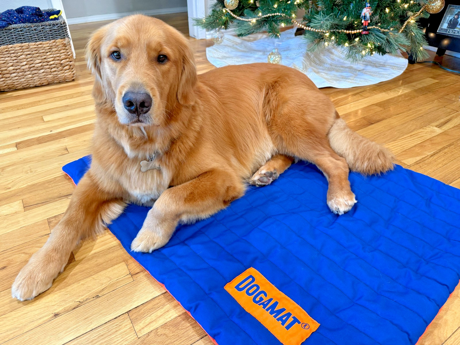 “Doga” Training Mat – Large 30″ x 36″ – Portable Dog Place Mat