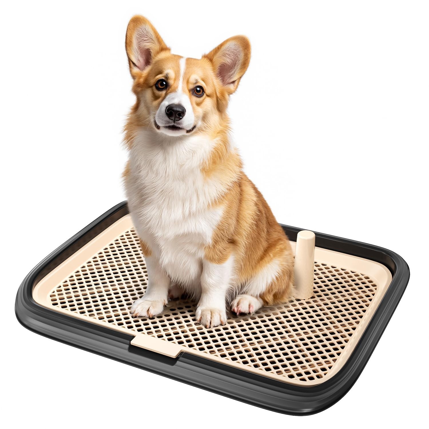 Indoor Dog Potty Tray 23.6″x17.68″ – Puppy Training Pee Pad Holder, Pet Toilet f