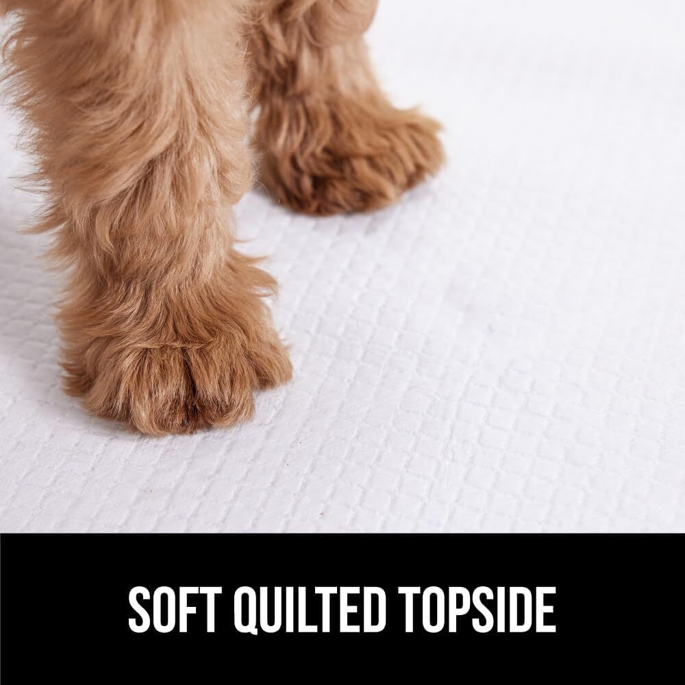 Gorilla Guard Disposable Puppy Pads, 100 Count 22X22 In, 5 Layer Pee Pads for Do