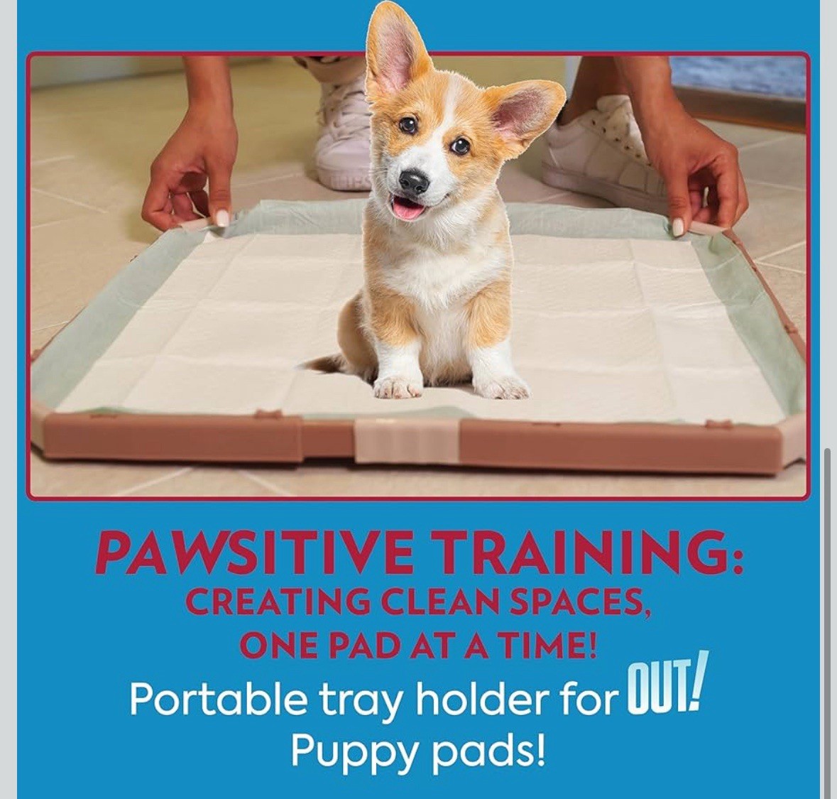 OUT! Training Pad Holder for Pets, Fits Pads 21 by 21-Inch