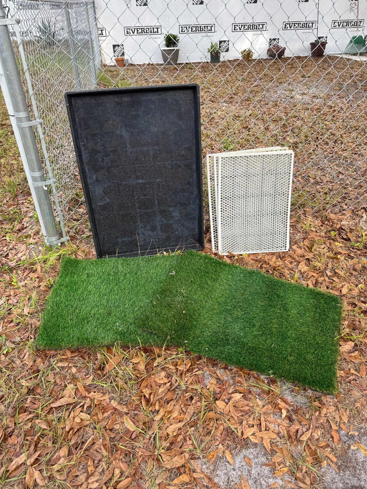 Inside Dog Potty Training Grass
