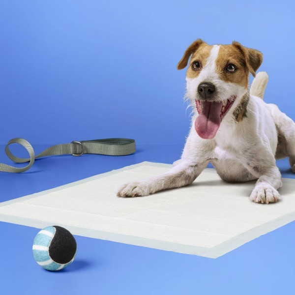 Dog Training Pads – L – 50ct: Disposable, Polymer Material, For All Ages