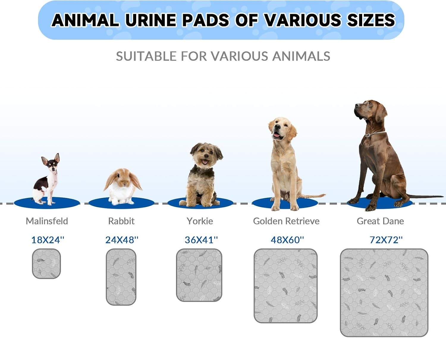 Super Absorbent 2-Pack Dog Pee Pads – Machine Washable & Non-Slip Design