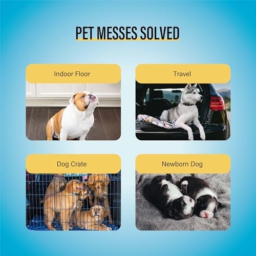 30 Best Value Training Pads – Regular Size 22″x22″ – Pack of 1