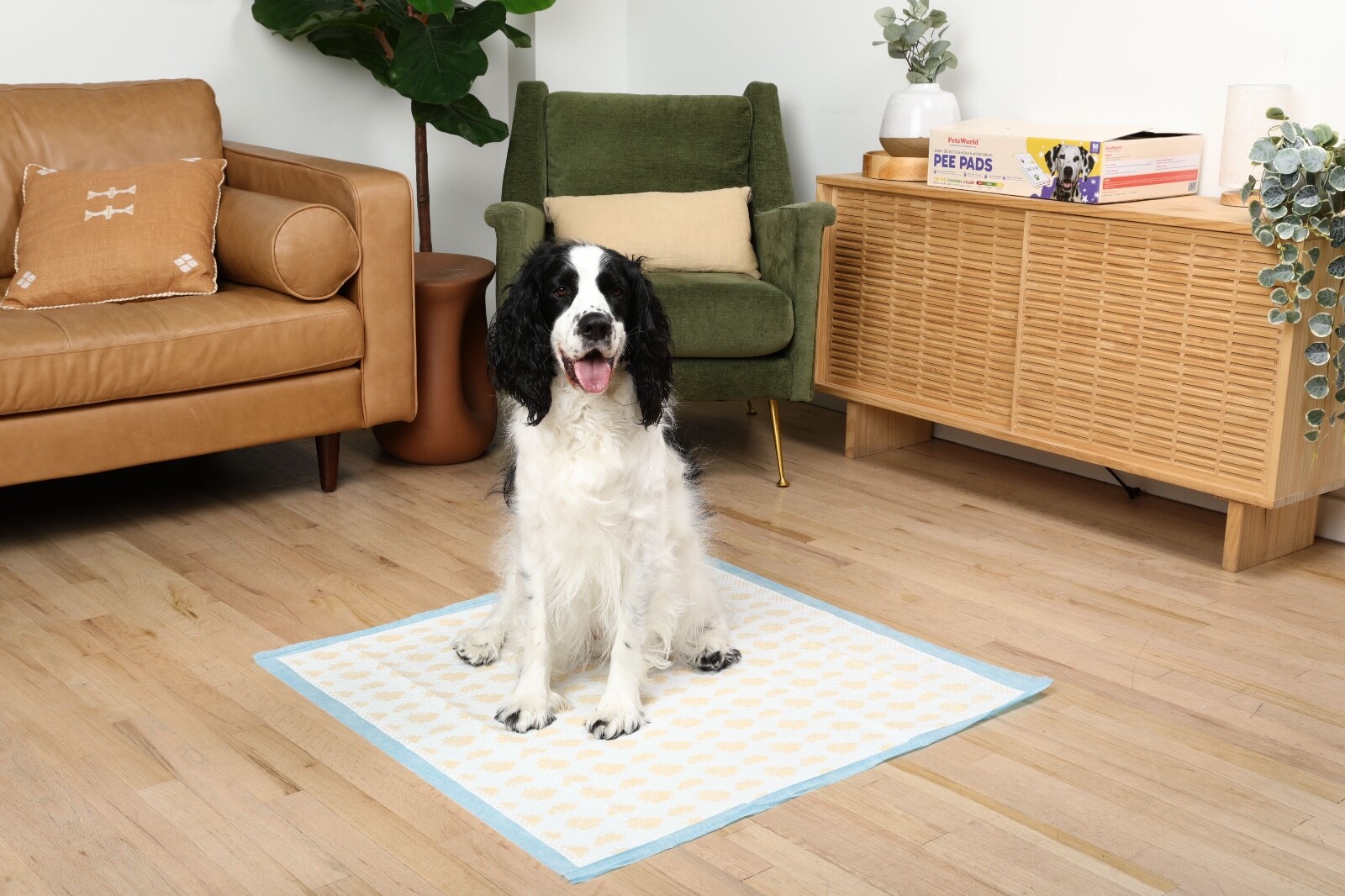 PetsWorld 36×36 Inch Health Monitoring Dog Pee Pads – 25 Count |Color-Changing