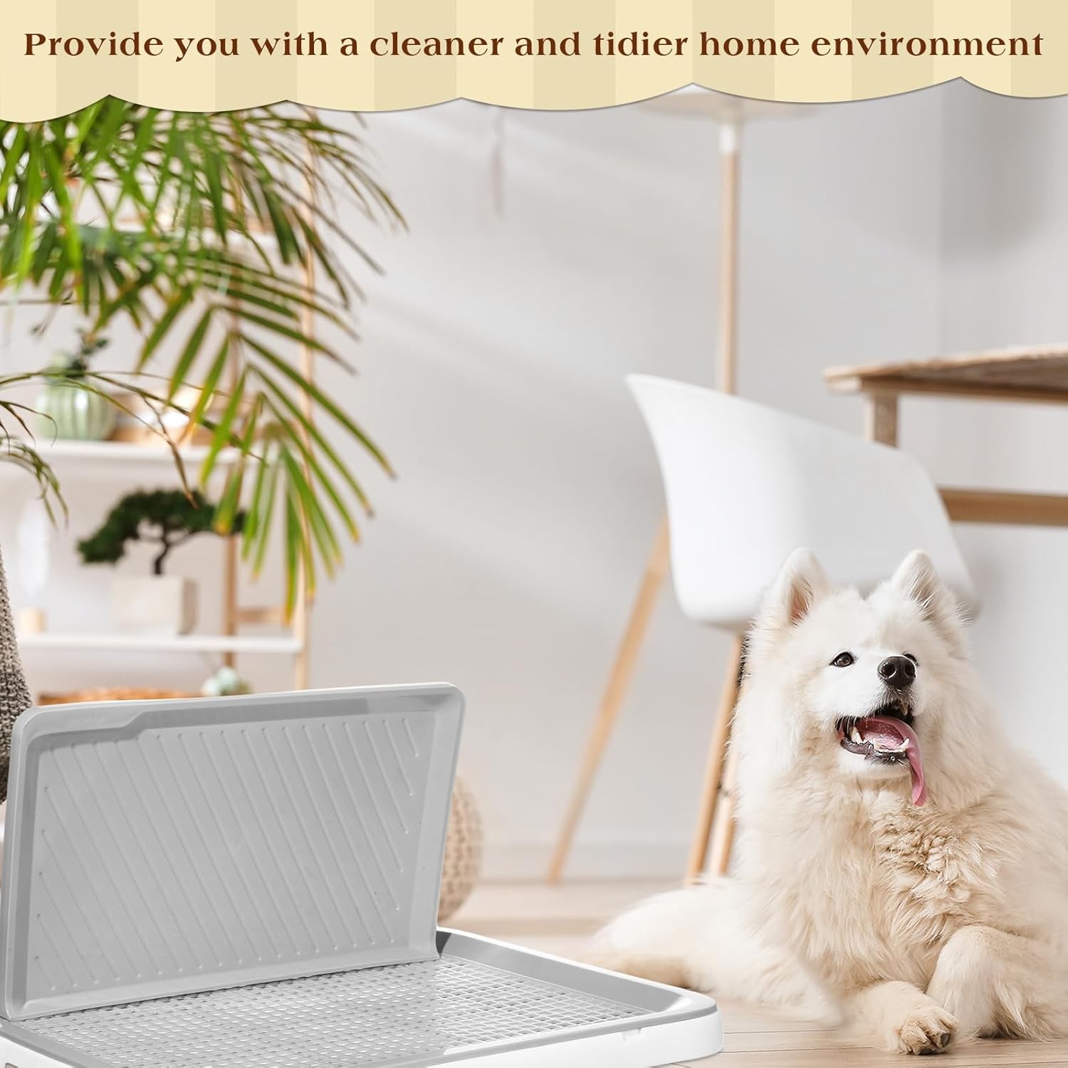 Paterr 2 Pcs Dog Potty Toilet with Removable Splash Wall Pet Indoor Dog Mesh …