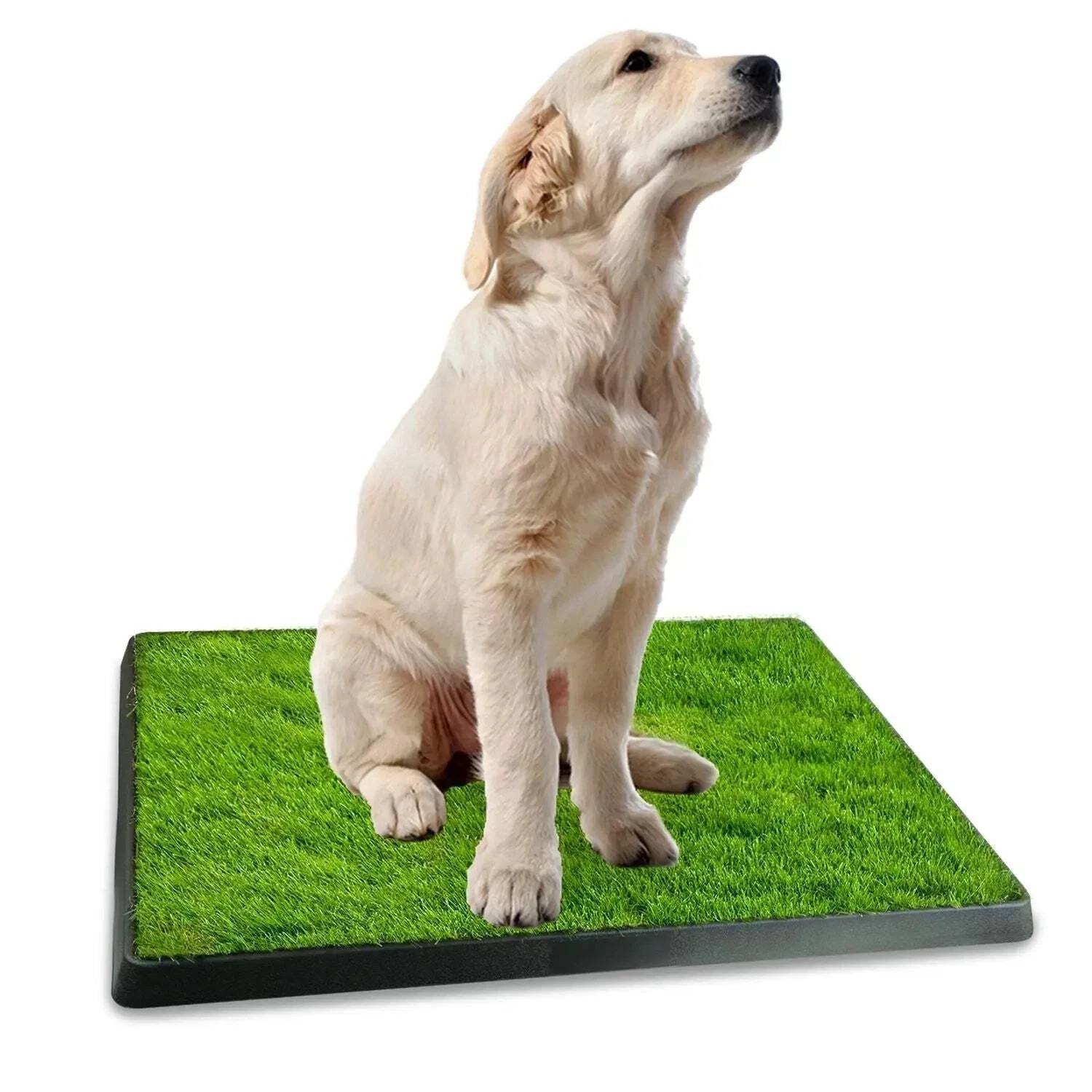 Dog Toilet Indoor Puppy Training Pad, Dog Potty Pet Training Grass Mat, Removabl