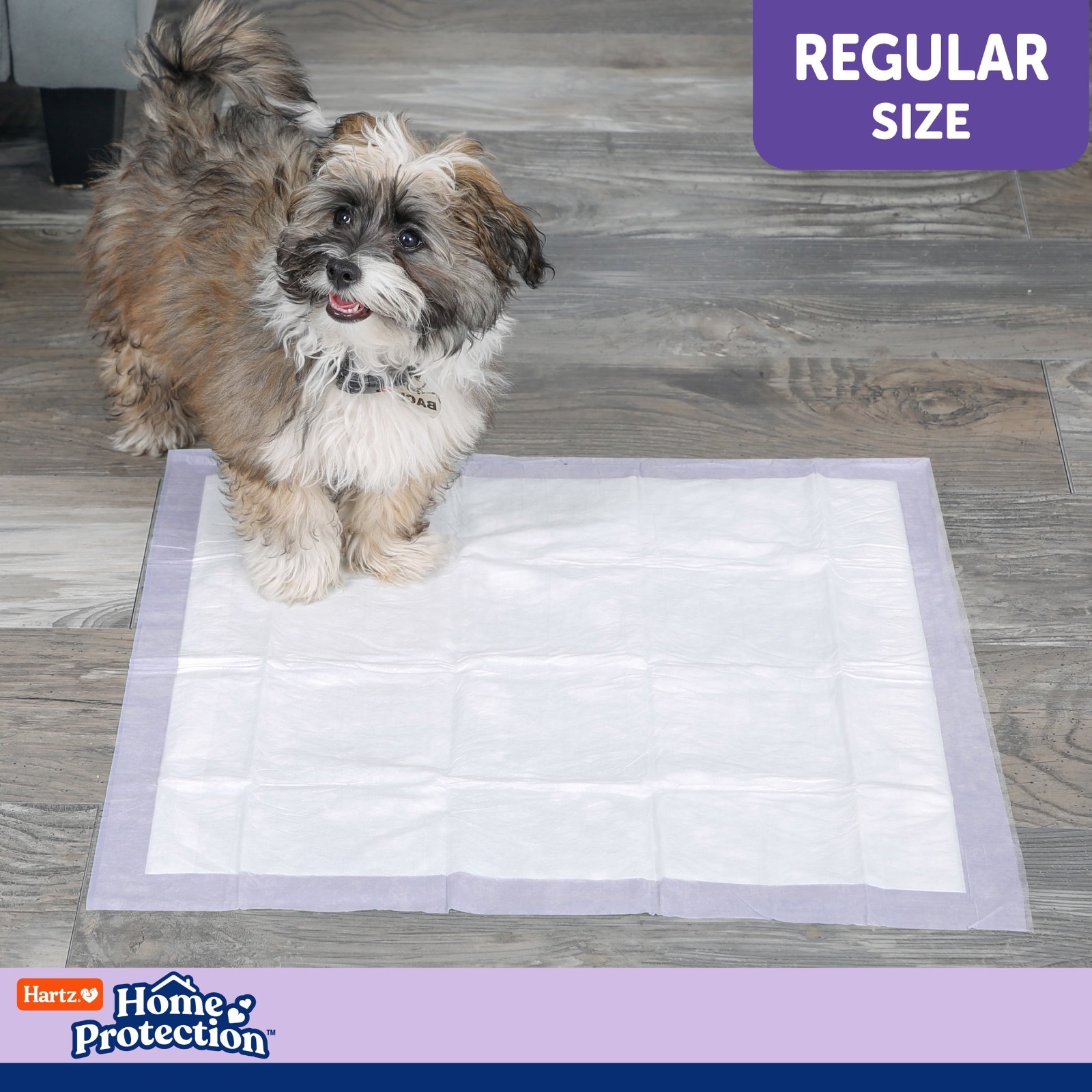 Dog Pads 21 x 21 Inch Super Absorbent Odor Eliminating Lavender Scented No