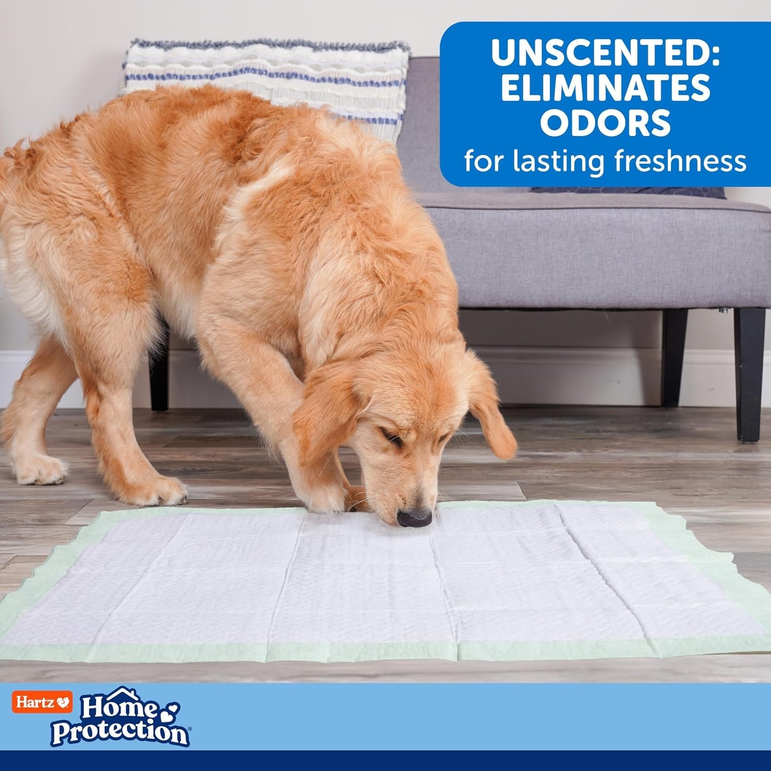 Home Protection 50 Count Super Absorbent Dog Pads, Leak-Proof & Odor Eliminating