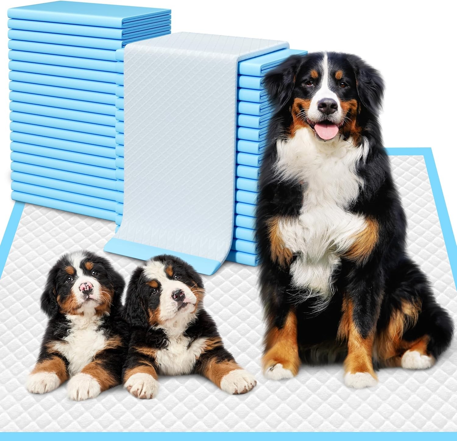 60 Count Extra Large Dog Pee Pads 28″ x 34″ Super Absorbent X-Large Puppy Pads