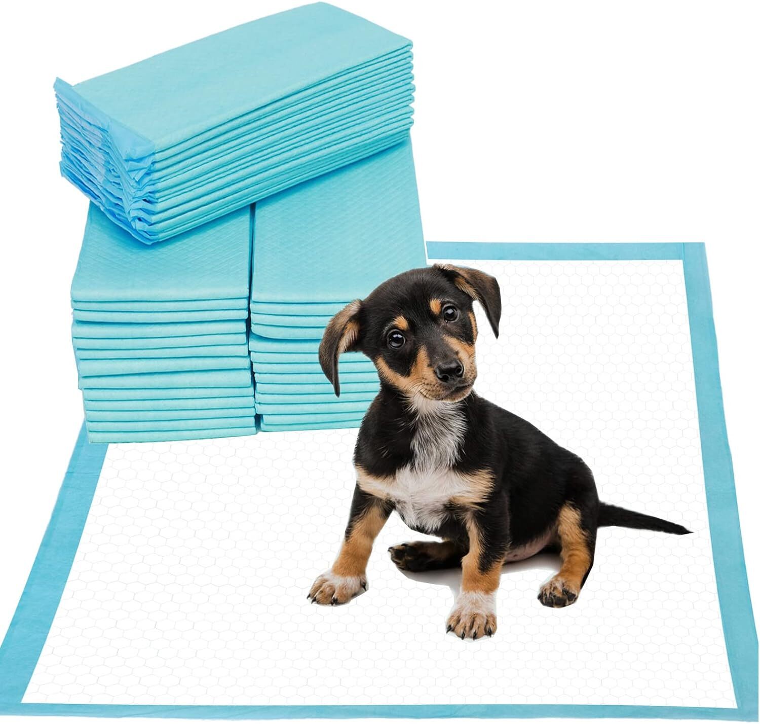 FPN Potty Training Pads for Dogs Ultra-Absorbent Unscented Blue Pads Small 13×18