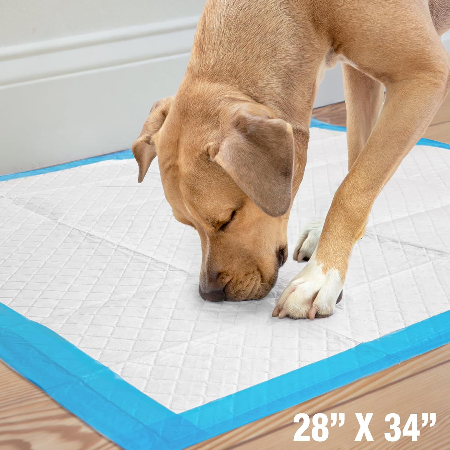 Wee-Wee Superior Performance X-Large Dog Pee Pads 75 Count Puppy & potty
