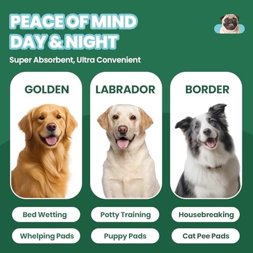 50 Pack Dog Pee Pads XL 30×36, Super Absorbent Leak-Proof Puppy Training Pads