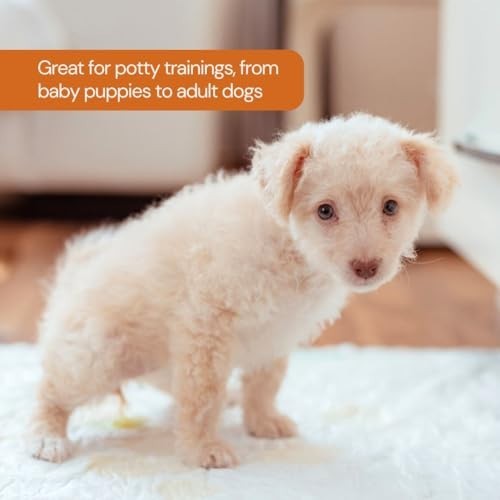 Disposable Puppy Pads XXL 30×36 100 Count Leak Proof Odor Control Super
