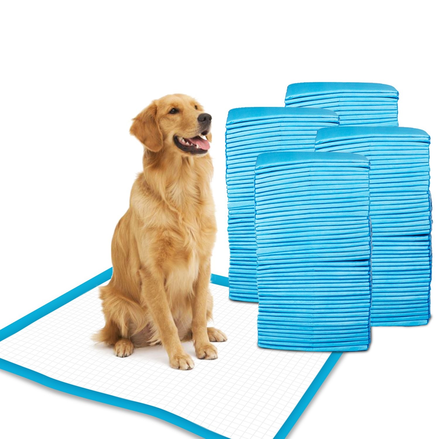 Petfamily Super-Absorbent 24 by 24 Inches Dog Training Pads – 100-Count, Blue