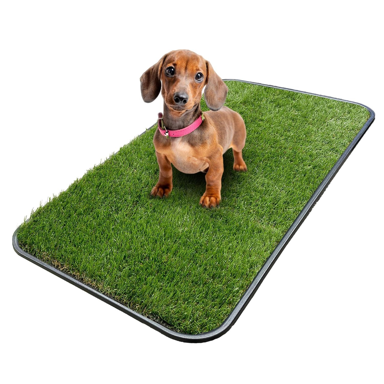 Artificial Grass Puppy Potty Training Pad with Tray, 15″ X 30″ Reusable Pee Pad