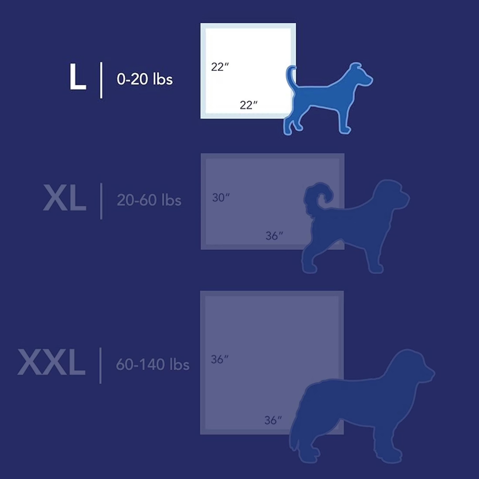 Pet Guard Advanced Medium Dog Training Pads for Puppies