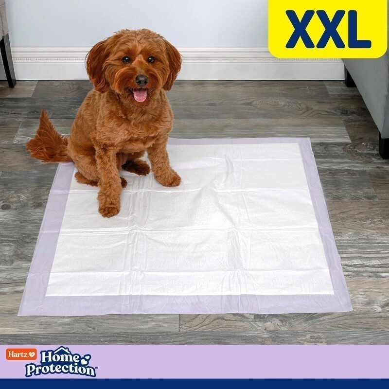 Odor Eliminating Lavender Dog Pads XXL Absorbent Disposable Leak Proof 40ct New