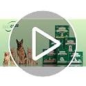 100 Count Puppy Pads 22″x23″ Leak-Proof Absorbent Dog Training Pee Wee Pads