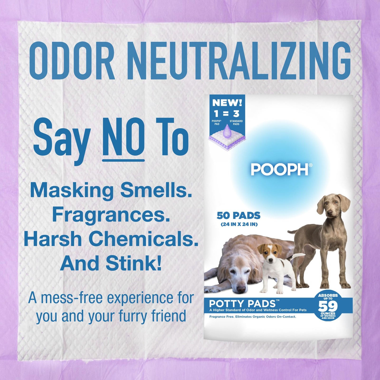 Potty Pads for Puppies, Seniors, Sick Pets – Leak-Proof, Absorbent, 50ct