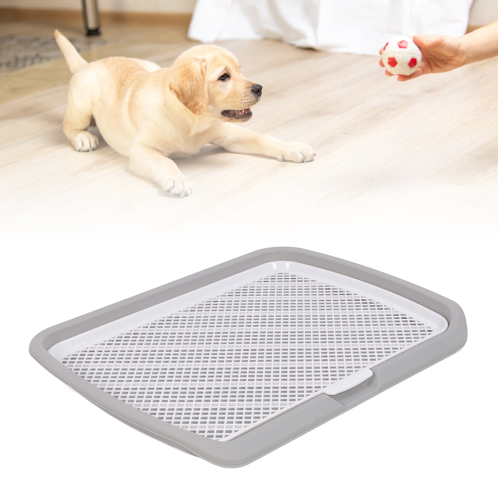 Detachable Puppy Potty Training Tray For Small Dog Clean Pet Training Hold