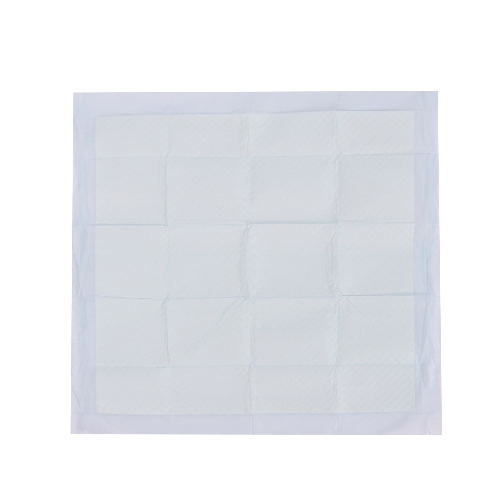 100 CountTraining Pads, Dog & Puppy Pads, L, 22 in x 22 in Durable