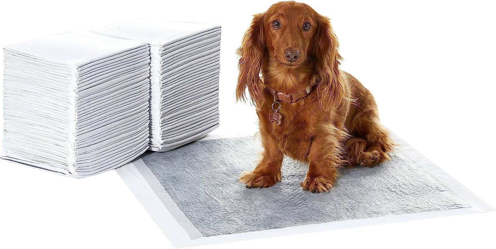 Carbon Odor Control Dog and Puppy Pee Pads, 5-Layer Leak-Proof Super Absorbent,